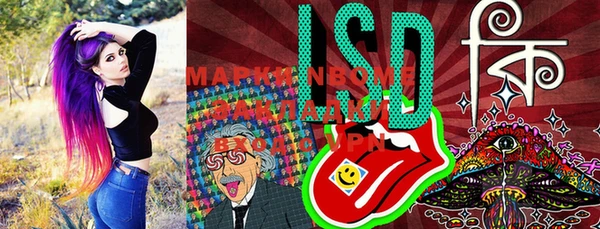 мяу мяу мука Ладушкин