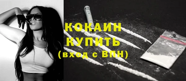 дмт Лабытнанги