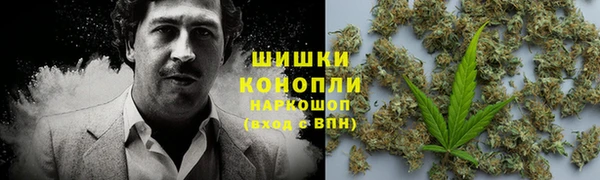 дмт Лабытнанги